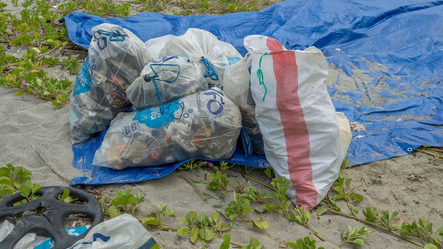 Plastic pollution