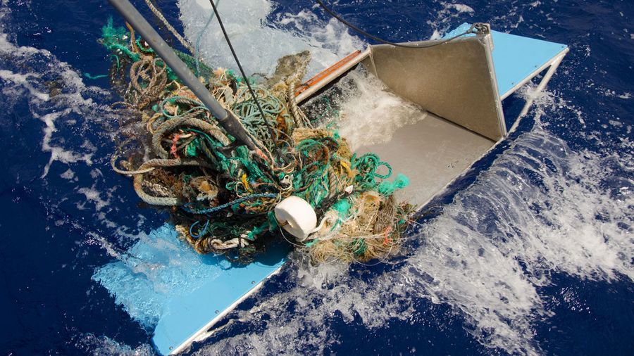 Discarded fishing gear too large to fit in a Manta Trawl Photo credits: Chloé Dubois, Great Pacific Garbage Patch, ocean plastic pollution, save oceans, help clean oceans,